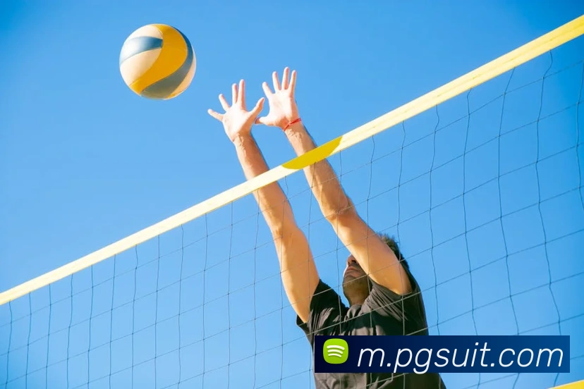 pg电子平台生态图